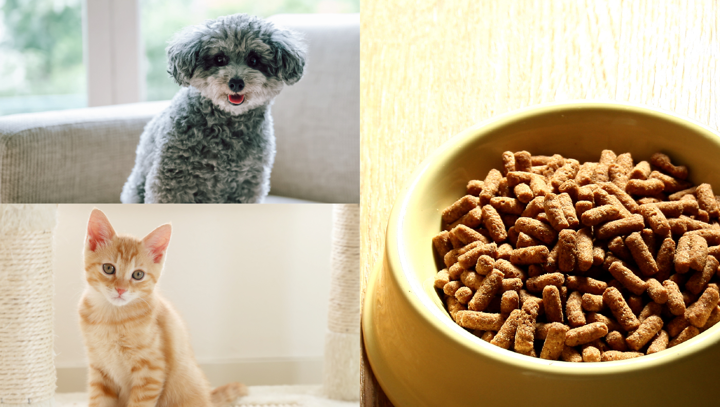 Pet food